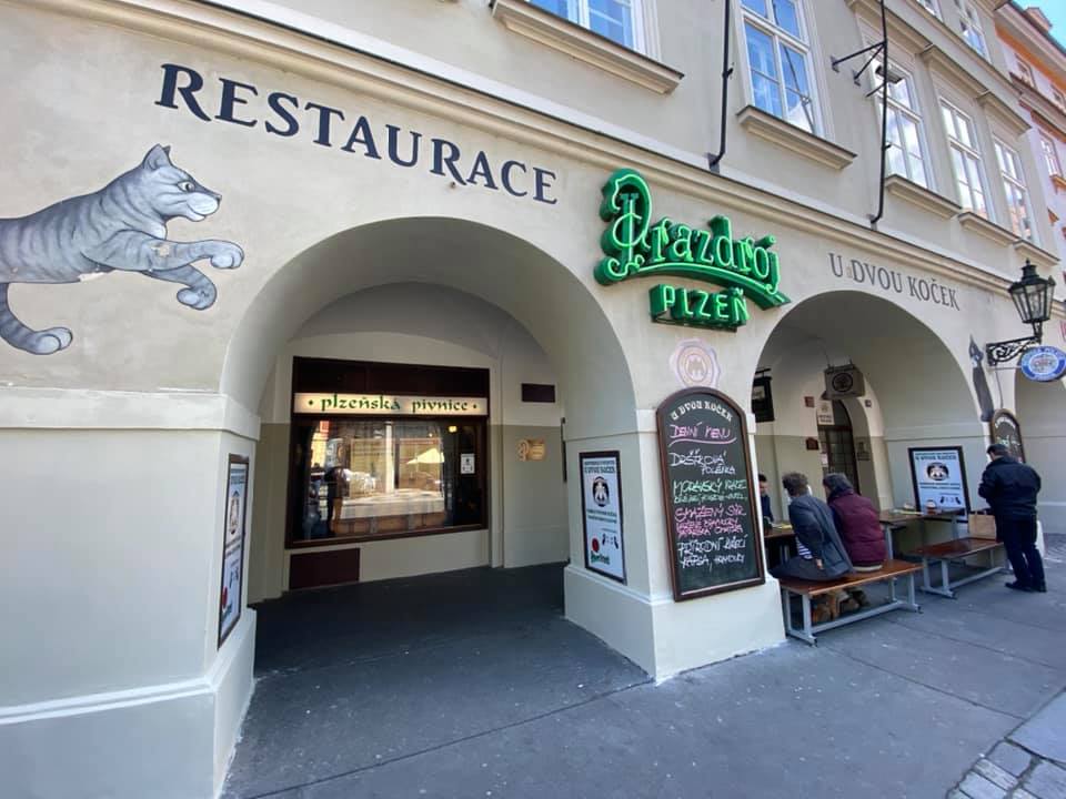 U Dvou koček